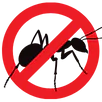 Ant Control Lilydale